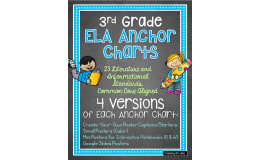3rd Grade ELA Anchor Charts – 23 Standards Set