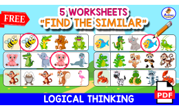5 WORKSHEETS | Find the Similar