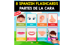 8 SPANISH FLASHCARDS | LAS PARTES DE LA CARA
