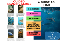 A Guide to Fish: Guided Reading Level Q with Lesson Plan