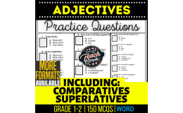 Adjectives Practice Questions - Grades 1-2 Grammar (Word)
