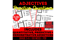Adjectives Practice Questions - Grammar Grade 5-6 (Fillable PDF)