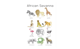 African Savanna Animals – 12 Flashcards & Poster