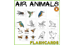Flying Animals: Illustrated Vocabulary Cards