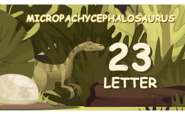 All About Dinosaurs | Five Facts Video Lesson