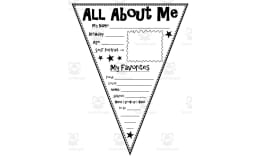 All About Me Pennant