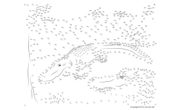 Alligator Connect the Dots – Extreme Difficulty