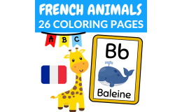 Alphabet Animals Flashcards in French