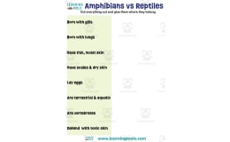 Amphibians vs Reptiles Activity