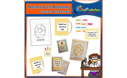 Animal Cell Anatomy Interactive Foldable Booklet - EBOOK