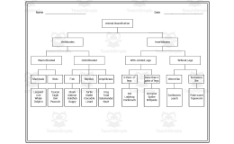 Animal Classification – Vertebrates + Invertebrates