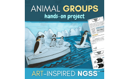 Animal Groups NGSScience Project – Third Grade Ecosystem and Survival Activity Lesson