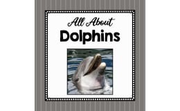 Animal Science Unit | All About Dolphins | Learning about Animals