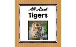 Animal Science Unit | All About Tigers | Learning about Animals