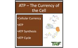 ATP and Cellular Energy - High School Biology lesson