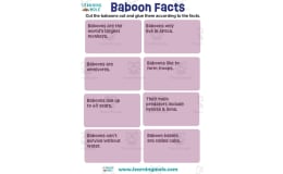 Baboon Activity