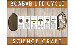 Baobab Life Cycle Craft Foldable Science Cut and Paste Craft Activity