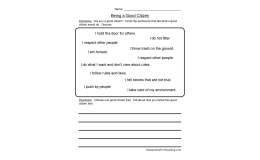 Being a Good Citizen: Choices and Reflection