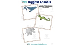 Biggest Animals Activity