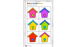 Birds & Bird Houses Matching Patterns Pre-K Kinder Homeschool