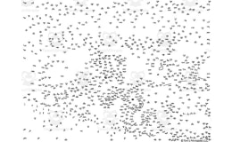 Bison (Buffalo) Dot-to-Dot / Connect the Dots Puzzle
