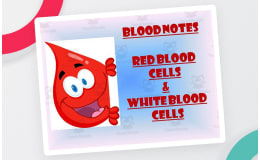 Blood Notes | Red Blood Cells and White Blood Cells PowerPoint Presentation