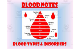 Blood Types | Blood Disorders PowerPoint Presentation