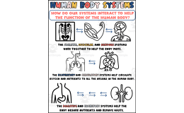 Body Systems Interactions Printable for Science