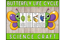 Butterfly Life Cycle Craft Foldable Science Cut and Paste Activity