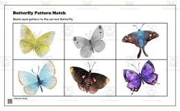 Butterfly Pattern Match Activity #2
