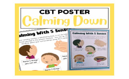 Calming Down with the 5 Senses Poster