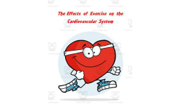 Cardiovascular System ~ The Effects of Exercise Lab Activity