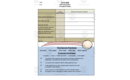Catching Rubric