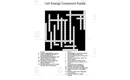 Cell Energy Crossword Puzzle