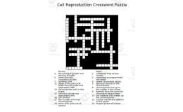 Cell Reproduction Crossword Puzzle – Vocab Review
