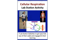 Cellular Respiration - 7 Lab Station Activities