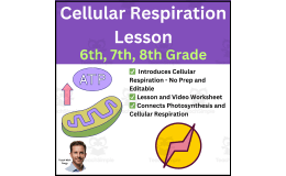 Cellular Respiration Lesson | Middle School Lesson and Activity