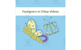 Chinese: Foreigners Video List
