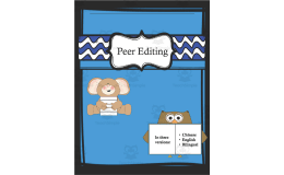 Chinese: Peer Editing Worksheets