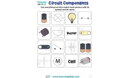Circuit Components Activity