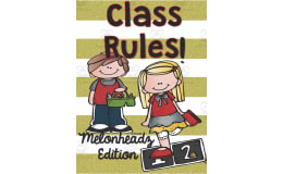 Class Rules: Melonheadz Edition