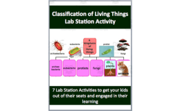 Classification of Living Things – Lab Station Activity