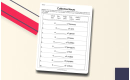 Collective Nouns Worksheet