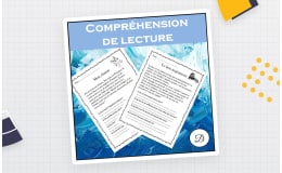 French Reading Comprehension – 20 Short Texts