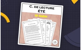 Compréhension de lecture - ÉTÉ (10 textes)