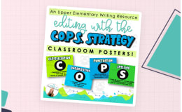 COPS Editing Strategy | Class Posters for The Writing Process