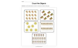 Counting Objects Worksheet