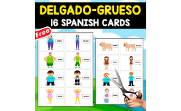 DELGADO-GRUESO (FAT-THIN) | 16 FREE SPANISH FLASHCARDS