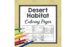 Desert Habitat Coloring Pages | Line Art Templates | Biome Art Project