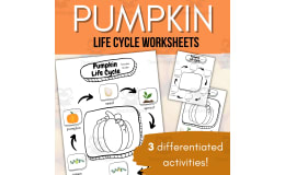 Differentiated Activities for Pumpkin Life Cycle Worksheet-Freebie